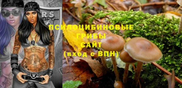 молекула духа Алексин
