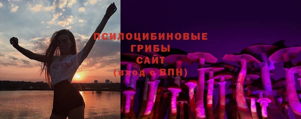 молекула духа Алексин