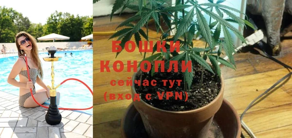 дурь Алзамай