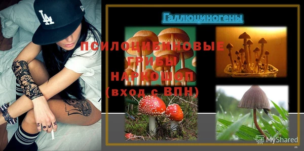 дурь Алзамай