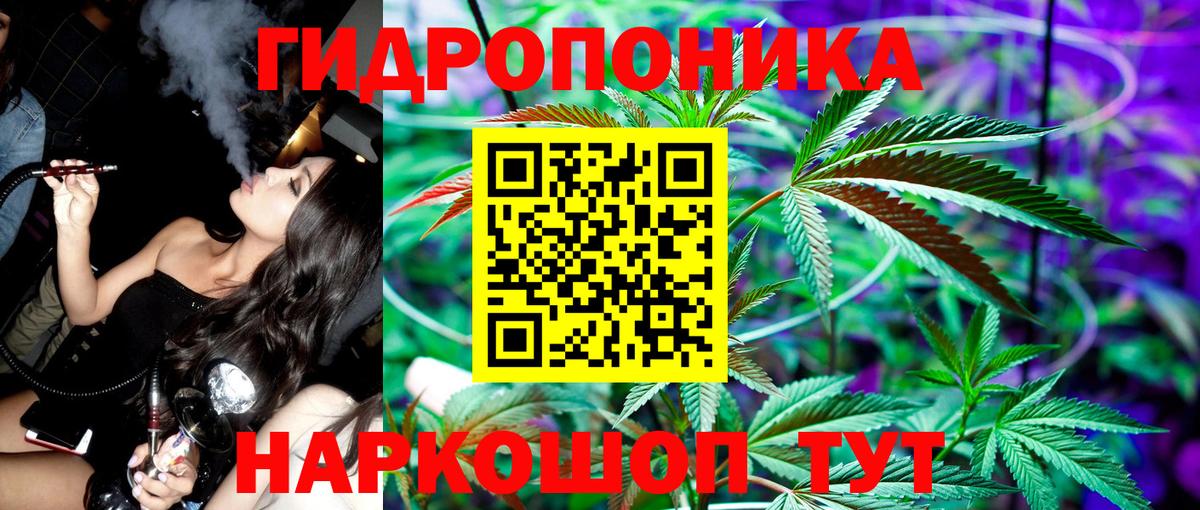 Солнечногорск  Бошки марихуана гибрид  Бошки марихуана конопля  Вход с VPN 